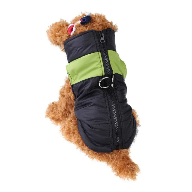 Waterproof puppy vest jacket