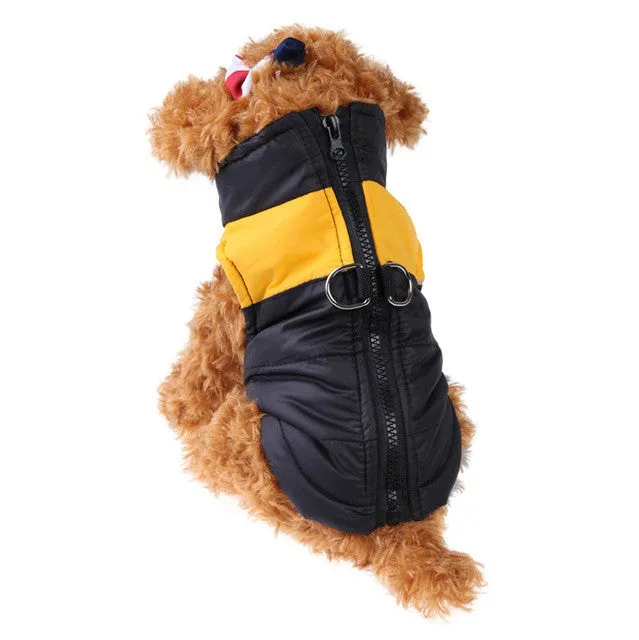 Waterproof puppy vest jacket