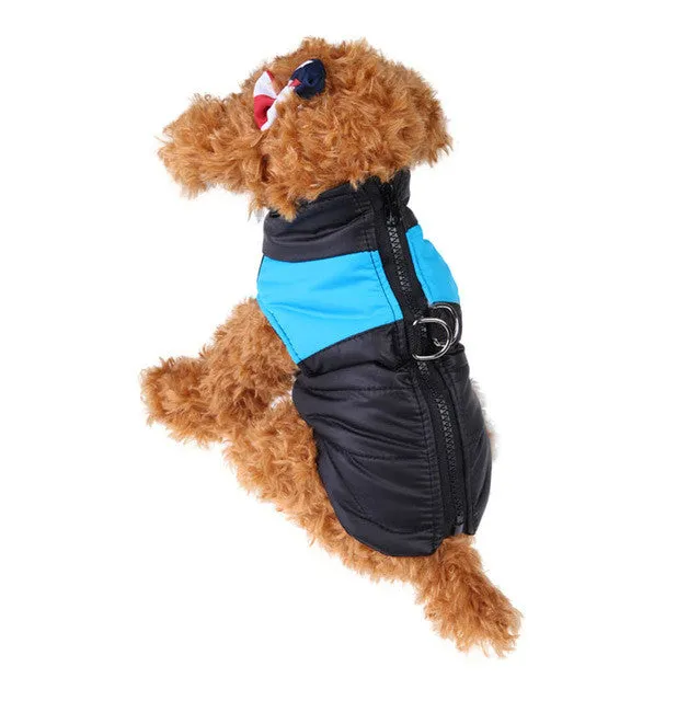 Waterproof puppy vest jacket